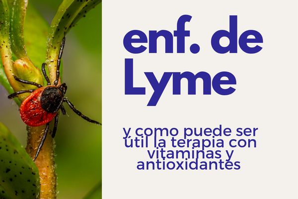 Enfermedad de Lyme y como puede ser útil la administración de vitaminas