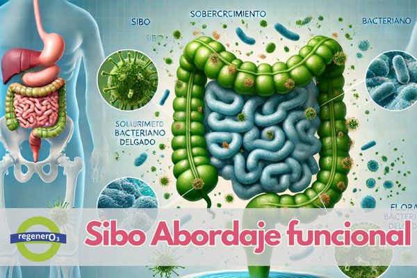 ¿Tienes SIBO? Descubre cómo la Sueroterapia puede transformar tu salud intestinal